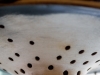 nove-cili-2015-025.jpg